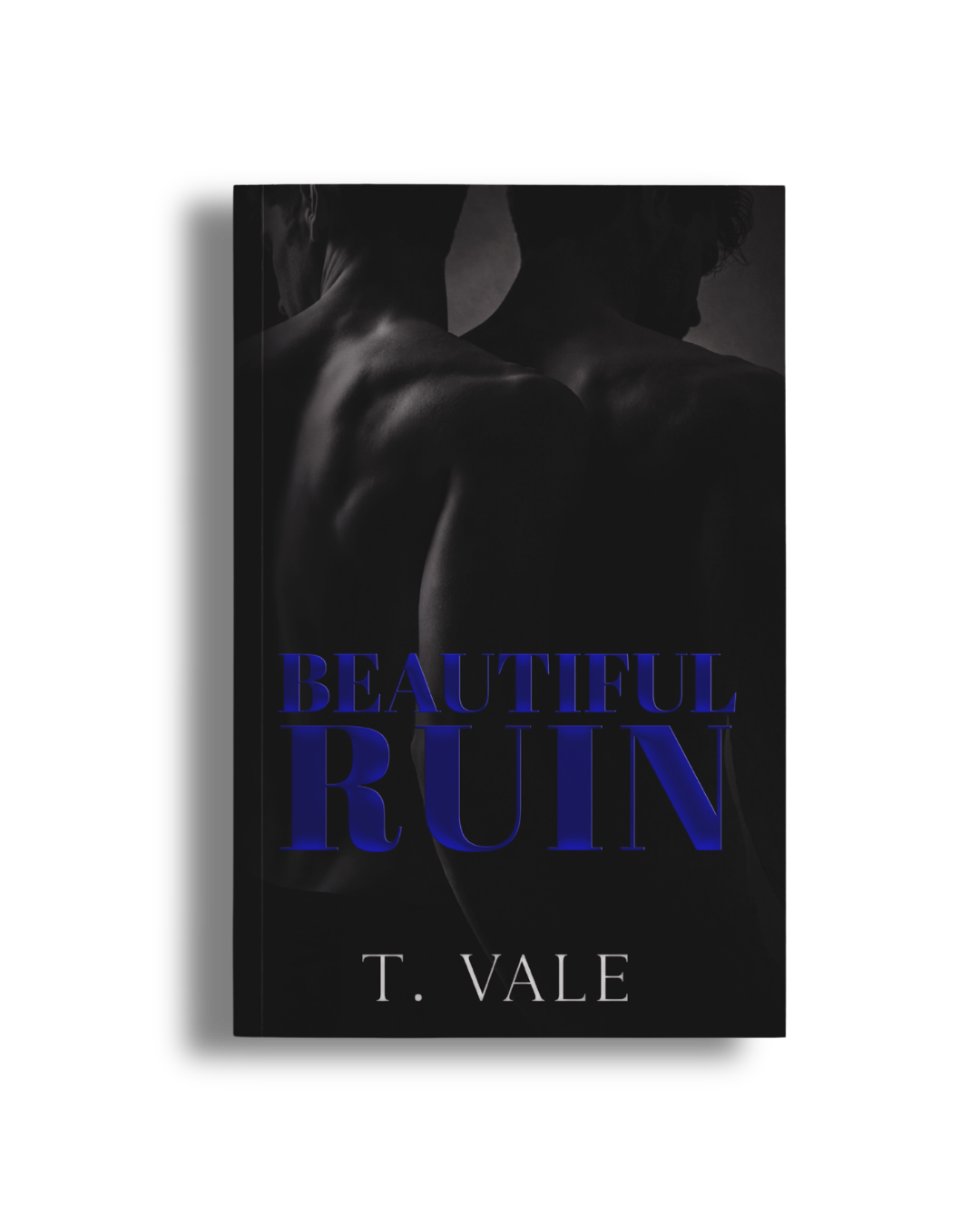 The Terms of Us | Tatum Vale The Terms of Us | Tatum Vale